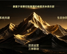 产业与资本还在博弈？峰壑金融已经开始"系统共建"了